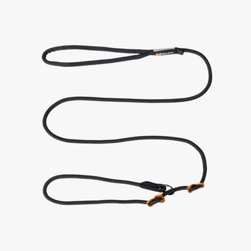 Retriever leash