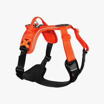 Ramble Harness - Allsidig hverdagssele, Sort/Orange