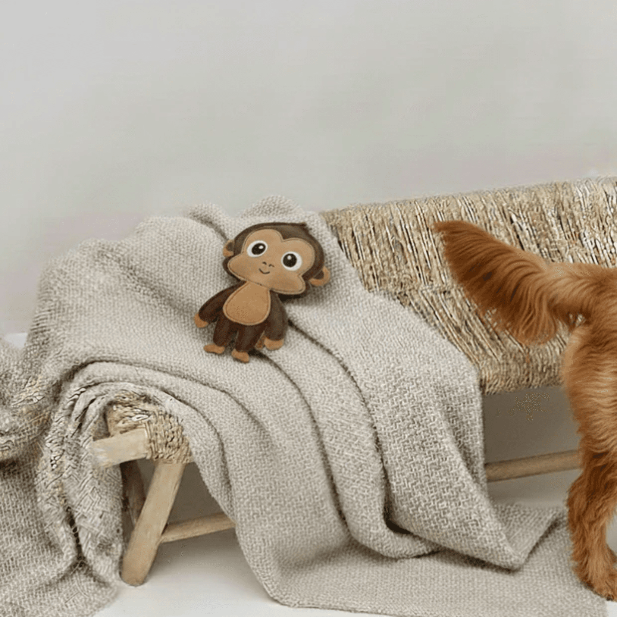 Mick the Monkey - Hundeleke