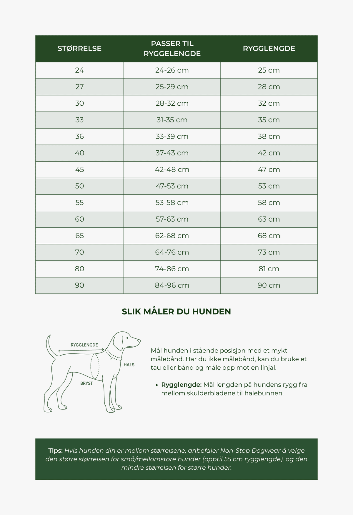 Fjord raincoat 2.0 – Regnjakke til hund | Grå bilde 4