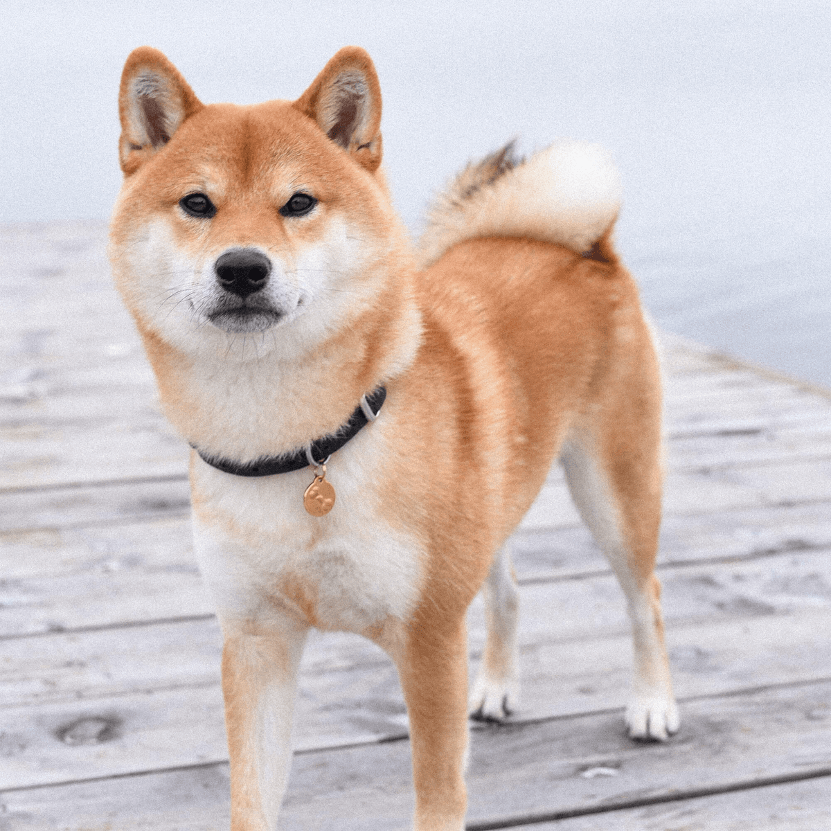 Navnebrikke i messing bilde 5
