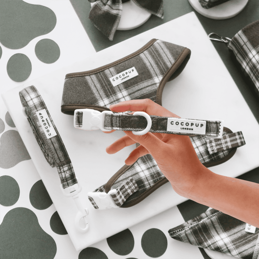 Olive Check – Hundehalsbånd | XS