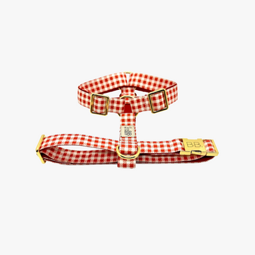 VICHY Hundesele