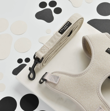 Brown Tweed - Hundekobbel i Beige Tweed, 152 cm