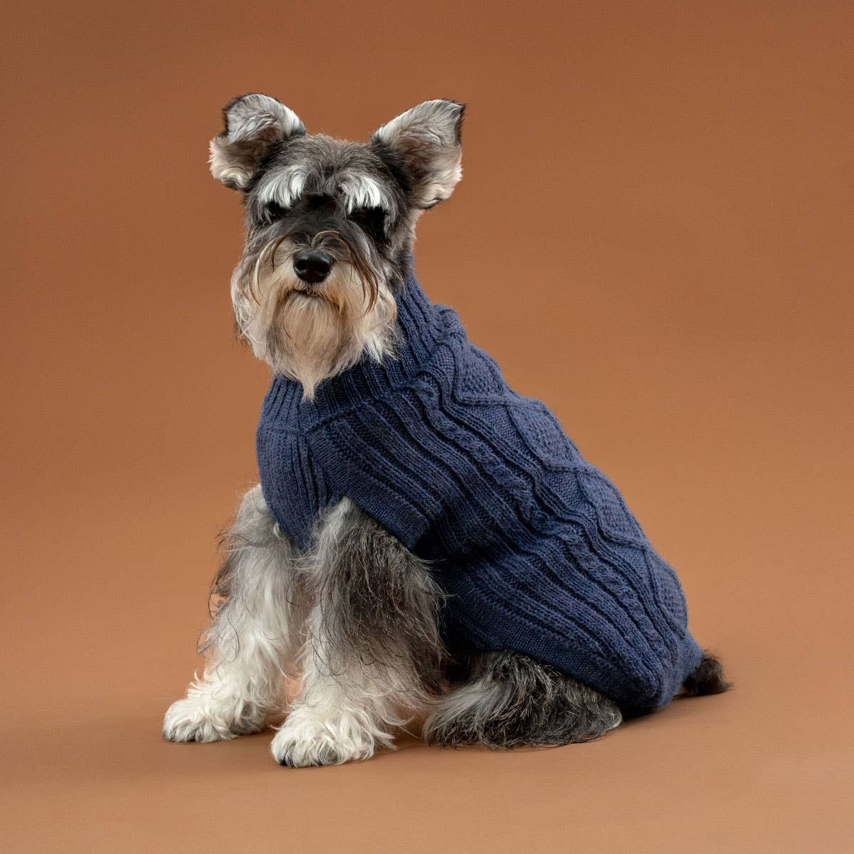 Royal Blue Aran Alpaca Dog Sweater