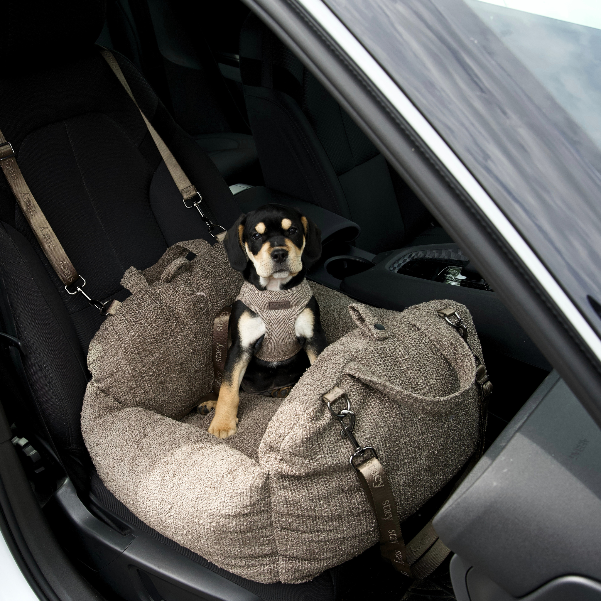 Tova 2 i 1 - Hundesete og reiseseng | Chestnut Bouclé