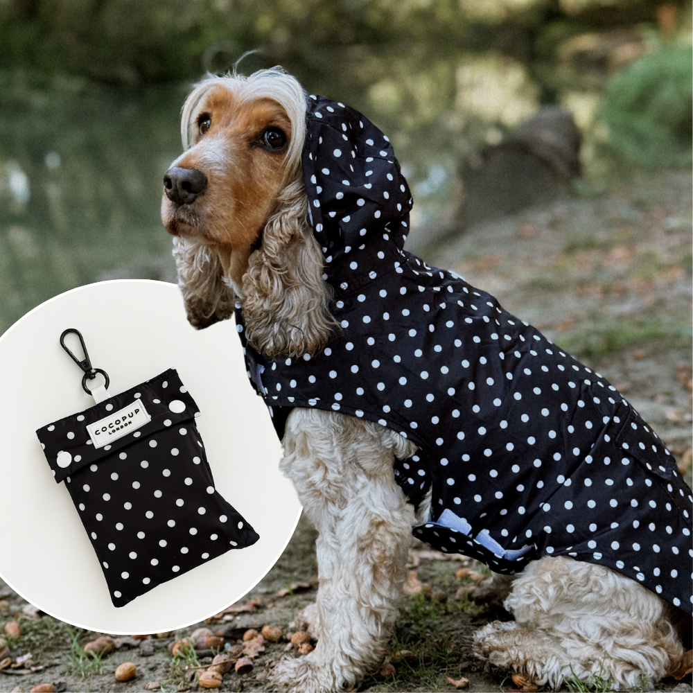 Black Polka Dot - Regnjakke til hund