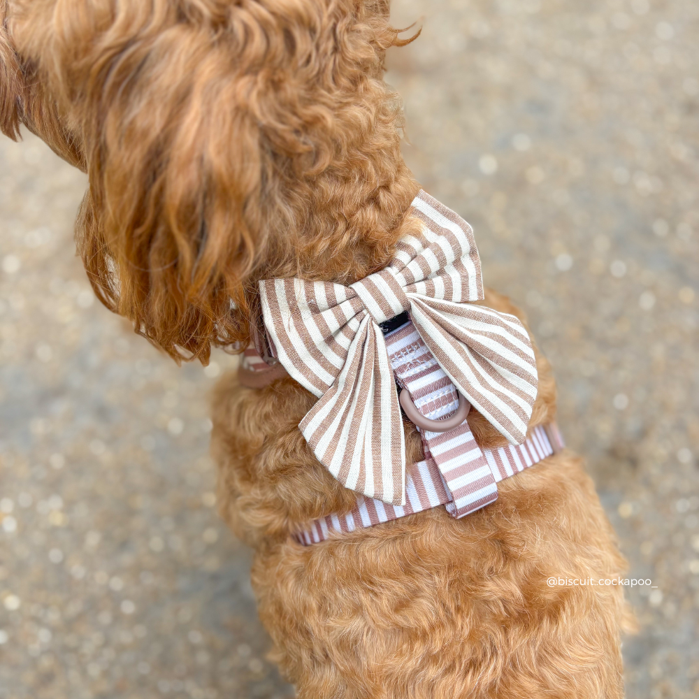 London Linen Stripes Sailor Bow Tie - Hundesløyfe