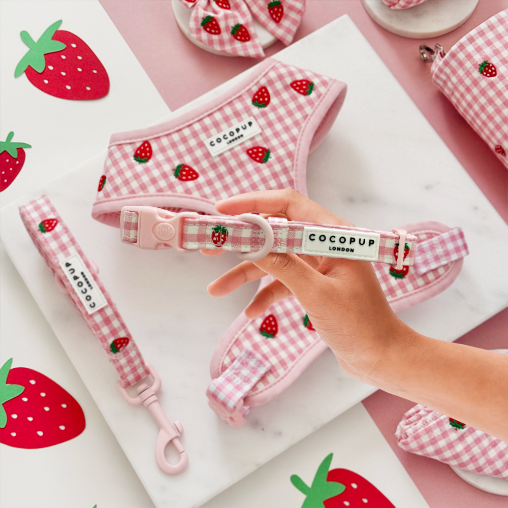 Strawberry Picnic - Hundehalsbånd