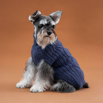 Royal Blue Aran Alpaca Dog Sweater