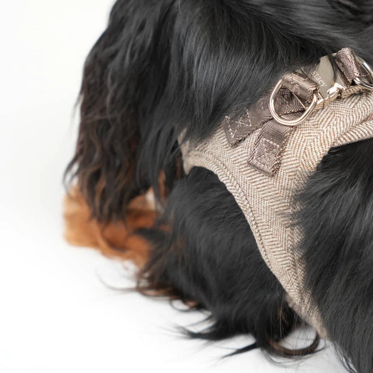 Saga - Step-in Hundesele | Mocca