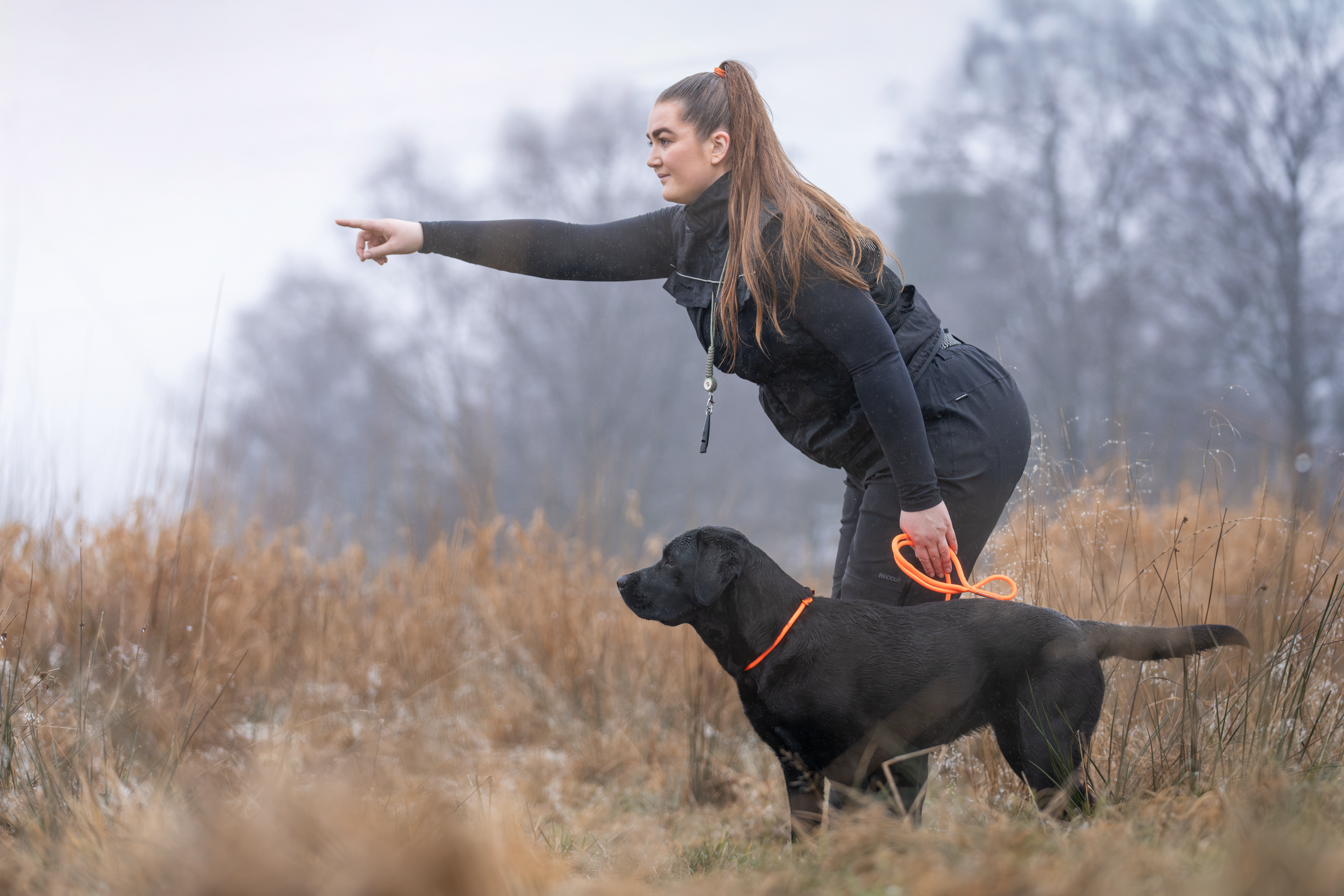 Retriever leash