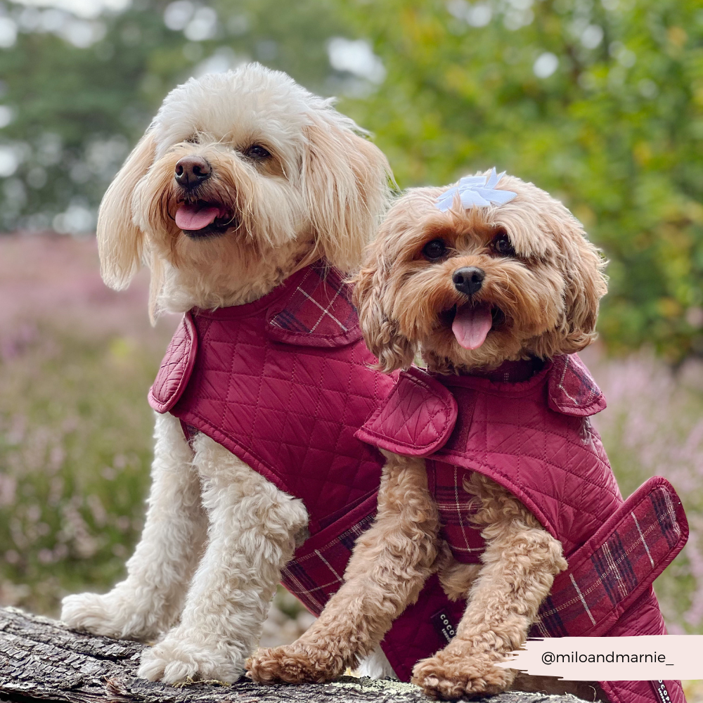 Luxe Quilted Mulberry Plaid - Vattert hundejakke