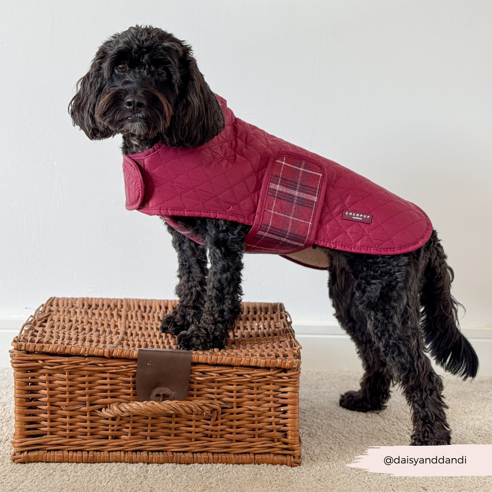 Luxe Quilted Mulberry Plaid - Vattert hundejakke