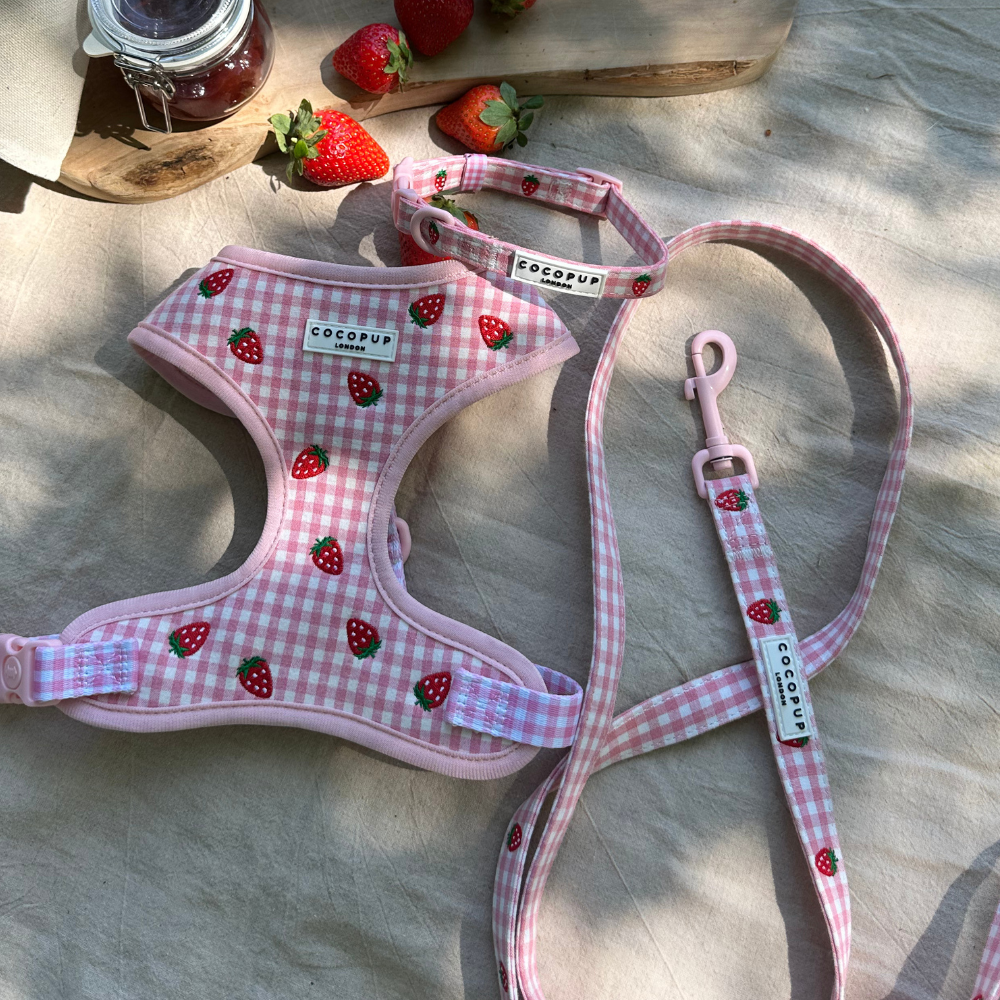 Strawberry Picnic Pup - Hundesele