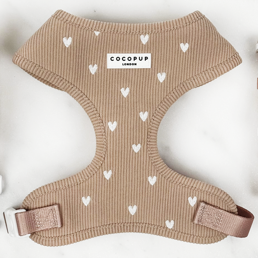 Chai Hearts – Hundesele