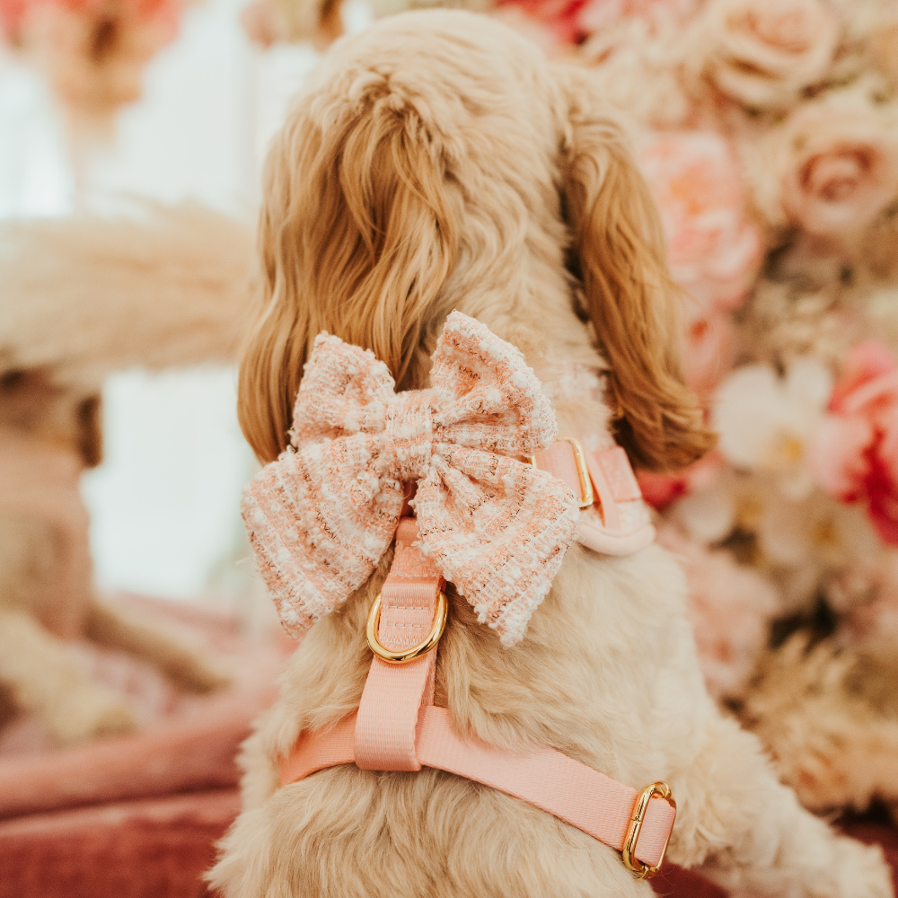 Pink Textured Tweed Sailor Bow Tie - Hundesløyfe
