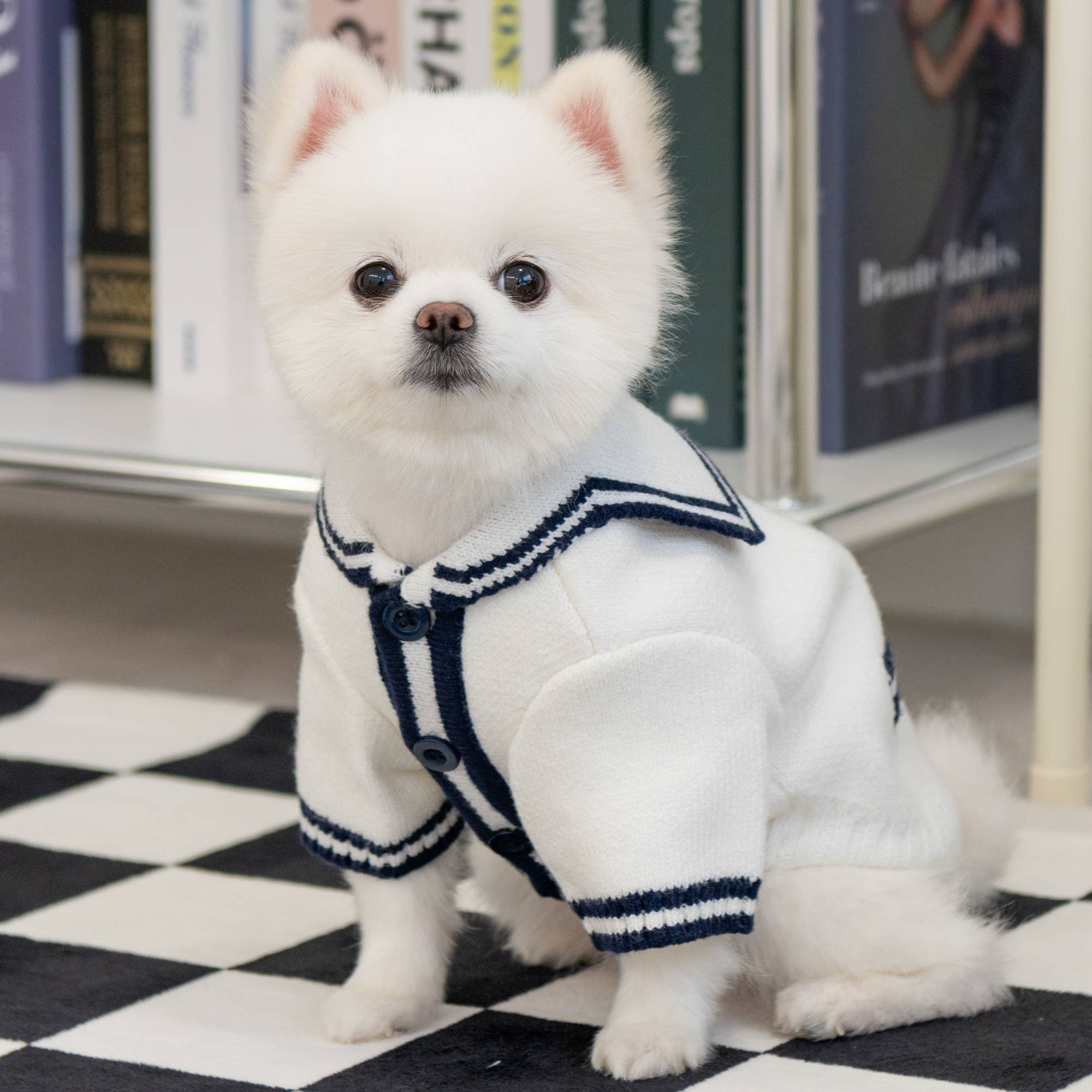 Marine Strikkecardigan for hund