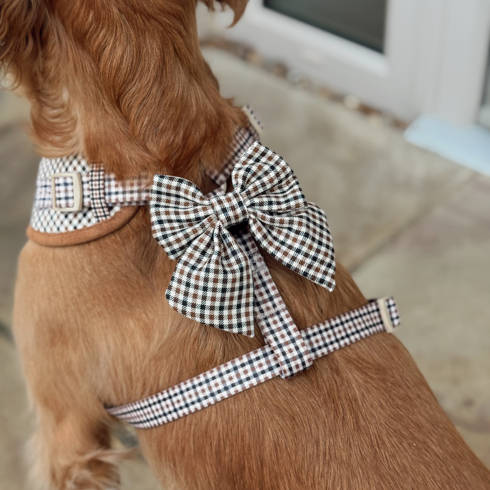 Heritage Check Sailor Bow Tie - Hundesløyfe