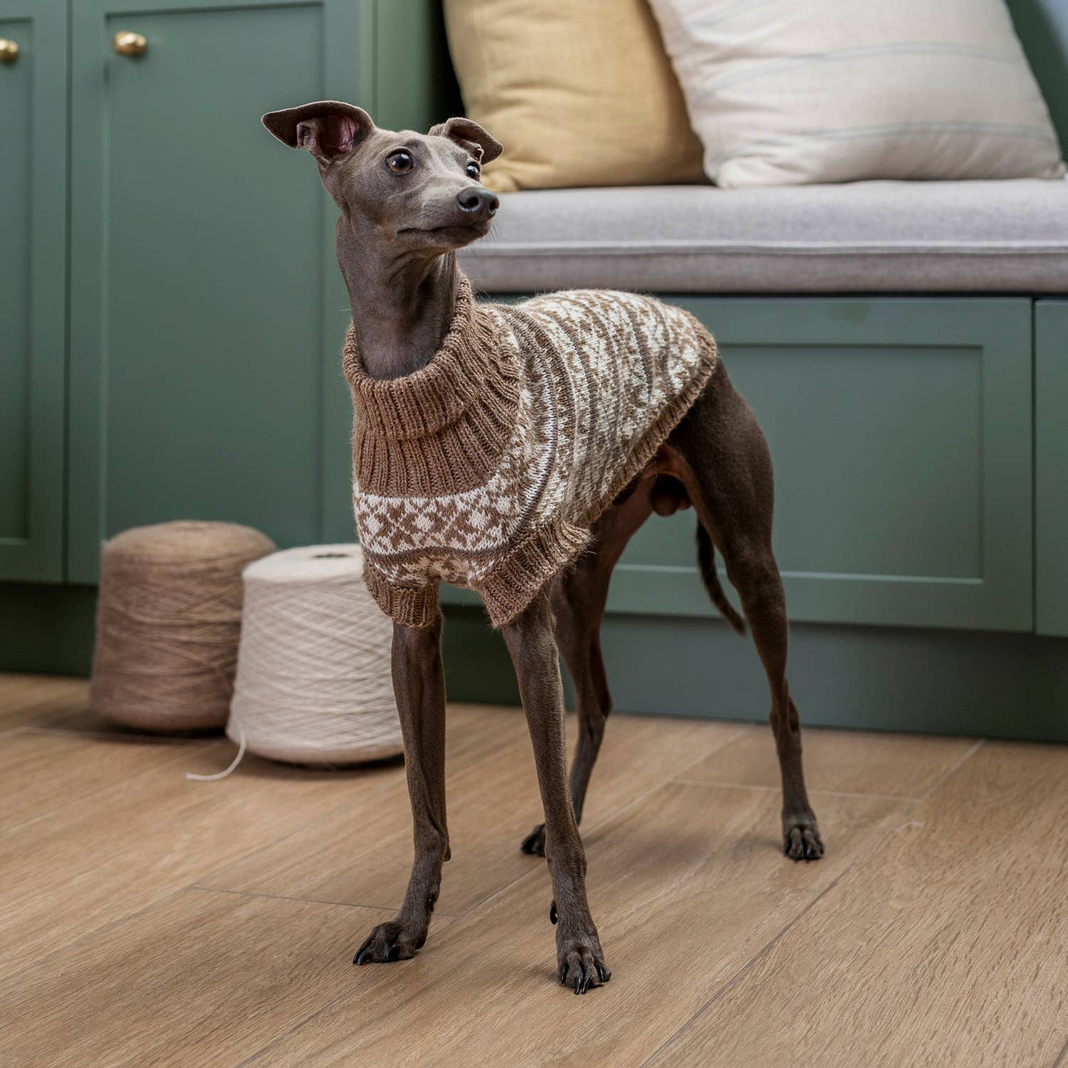 Snowflake Natural - Alpakka ullgenser til hund | Limited Edition