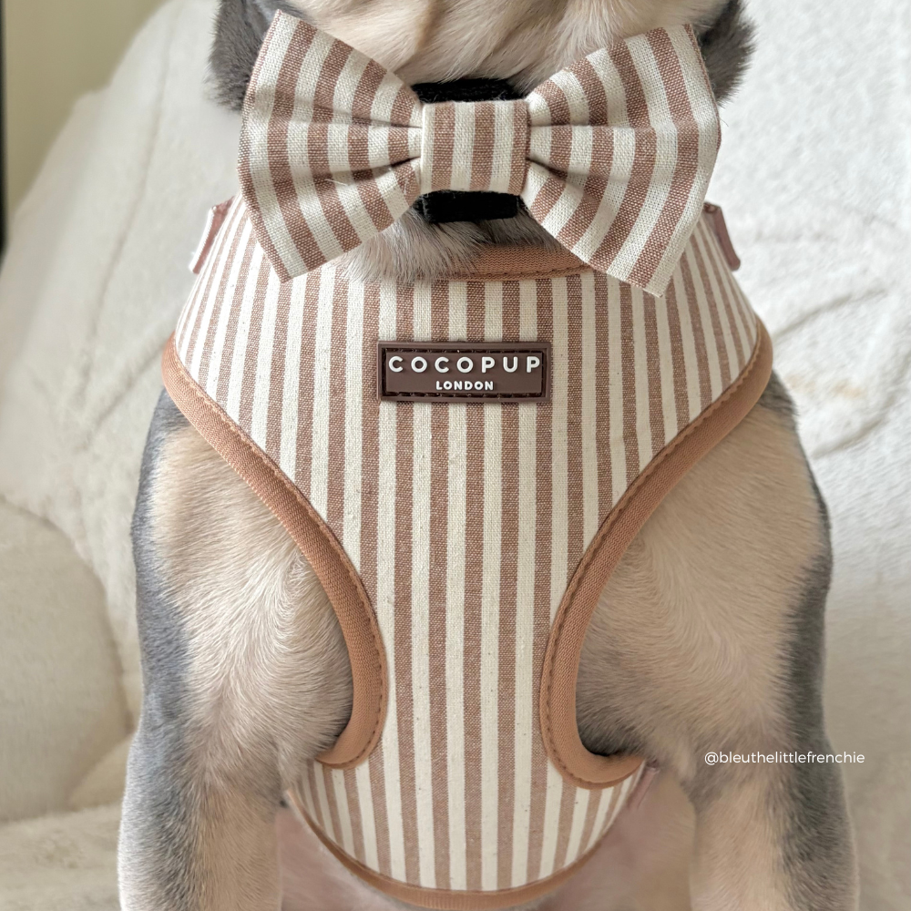 London Linen Stripes - Hundesløyfe