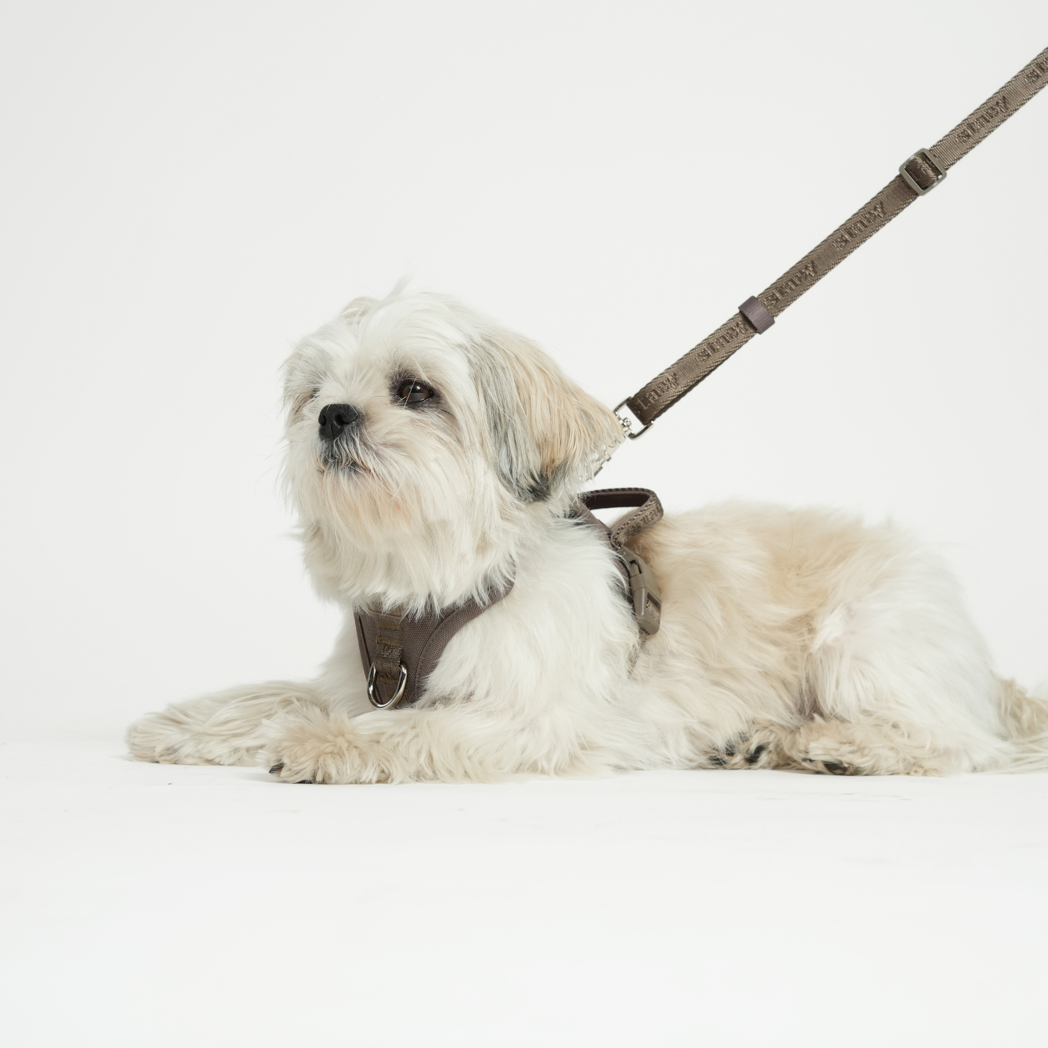 Elma Active - Hundesele | Taupe