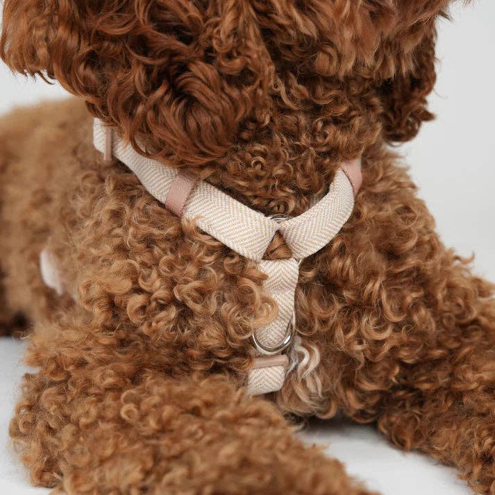 Tara H-Strap - Hundesele | Light pink