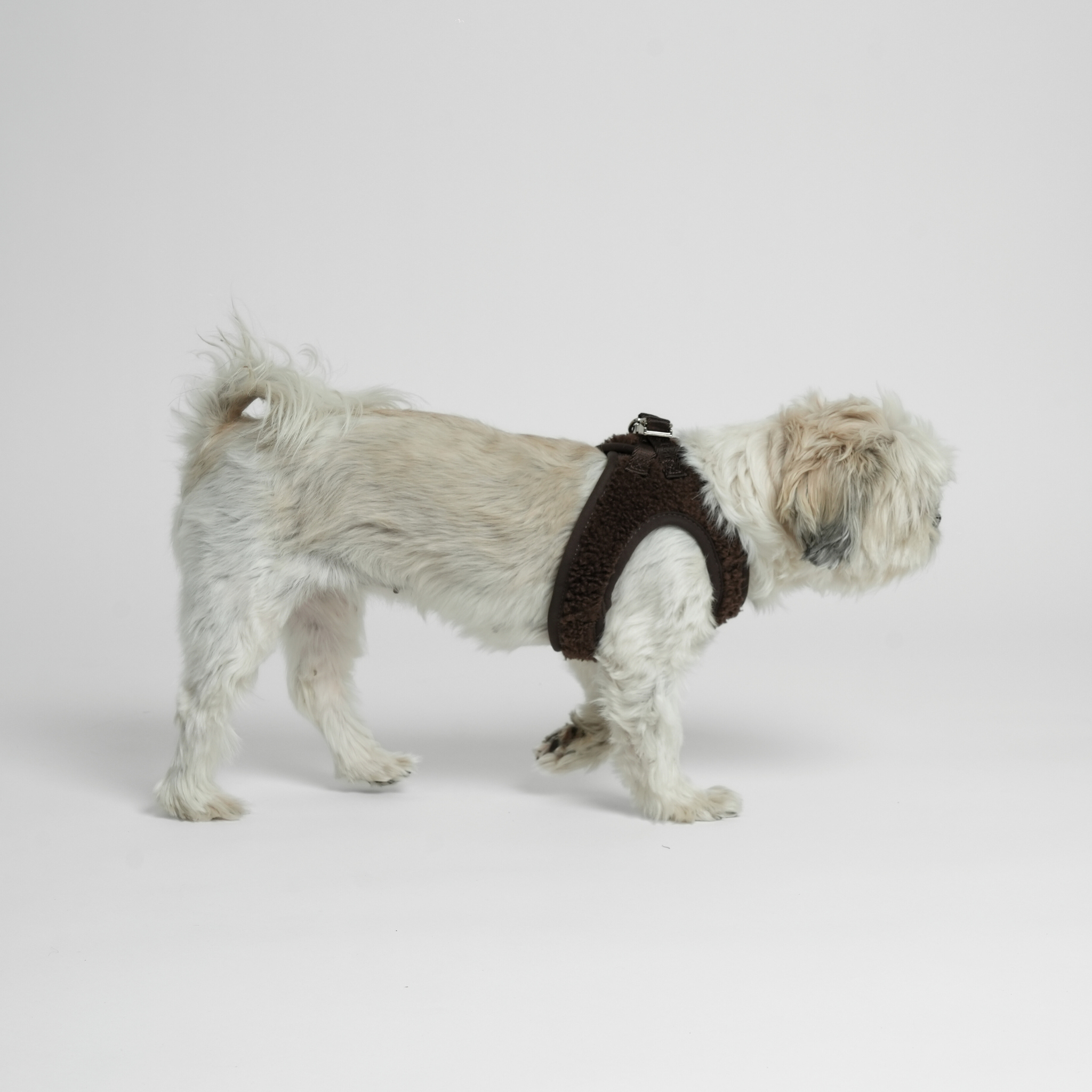 Saga Teddy - Step-In Hundesele | Espresso