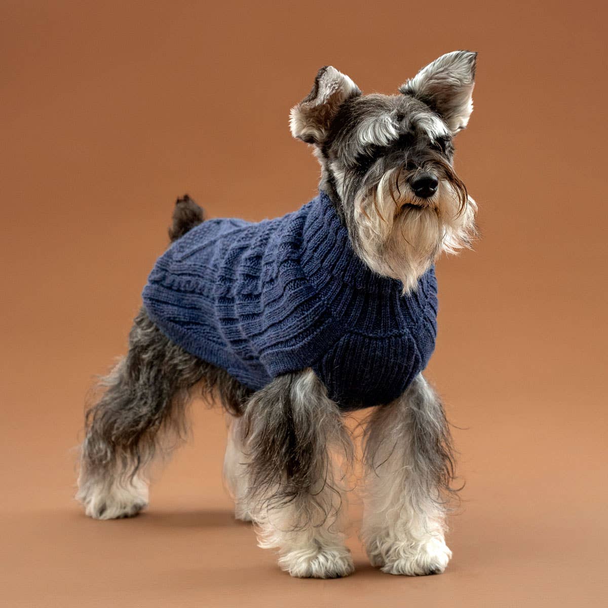 Royal Blue Aran Alpaca Dog Sweater