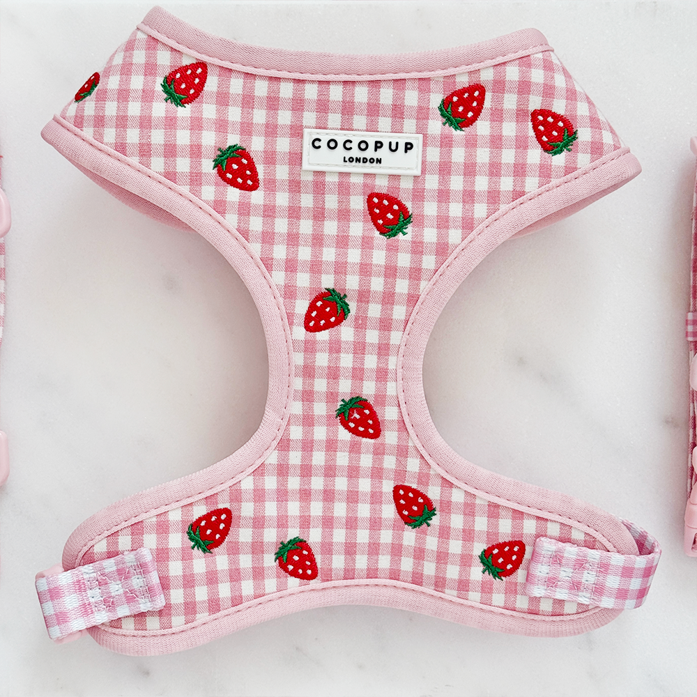 Strawberry Picnic Pup - Hundesele
