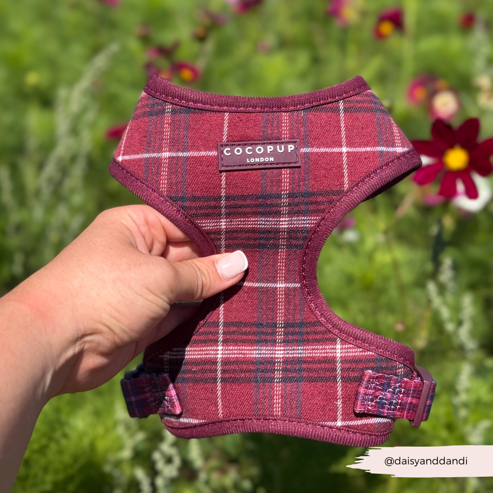 Mulberry Plaid - Justerbar hundesele