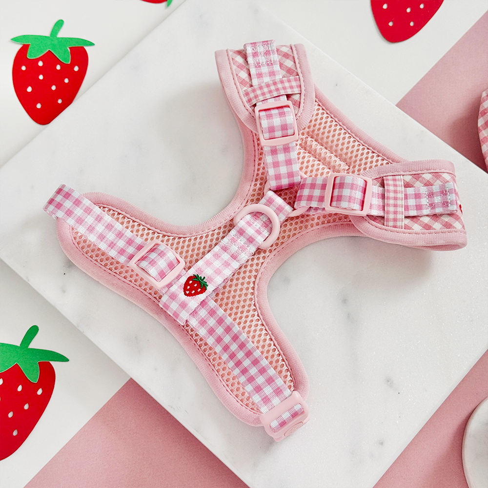 Strawberry Picnic Pup - Hundesele
