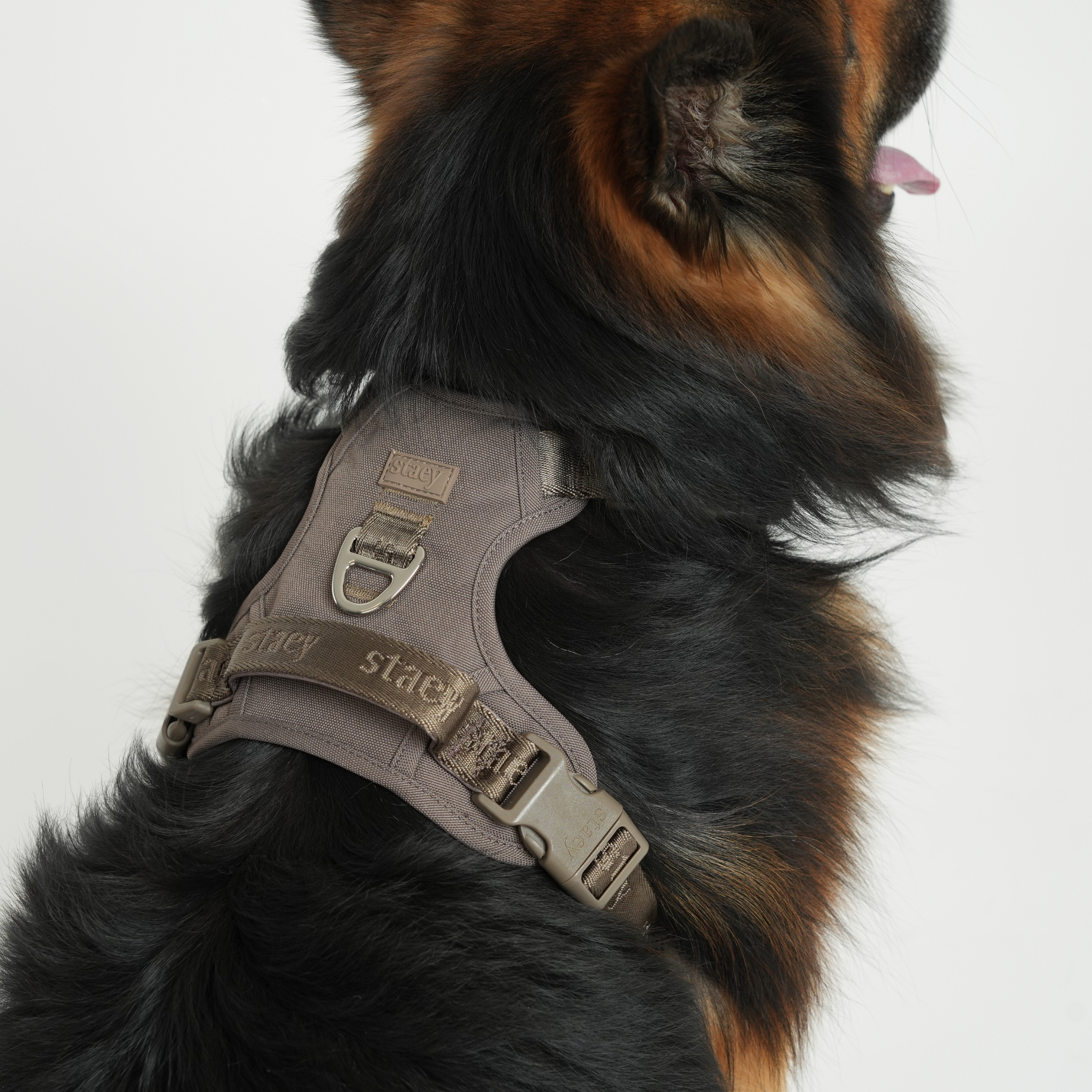 Elma Active - Hundesele | Taupe