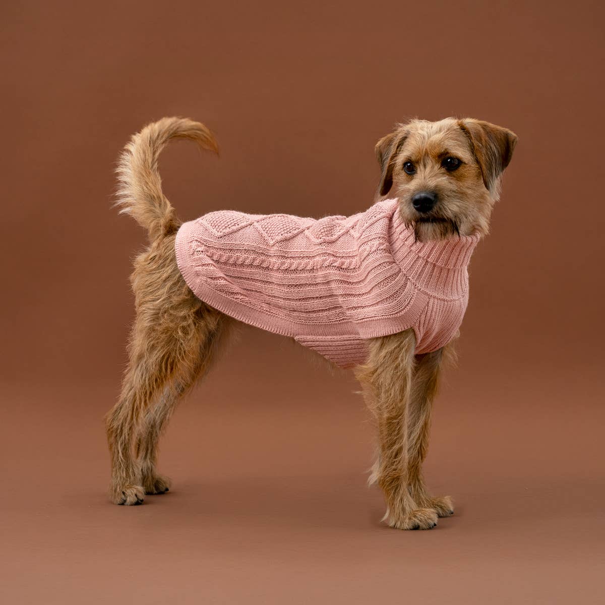 Blush Pink Aran - Alpakka ullgenser til hund