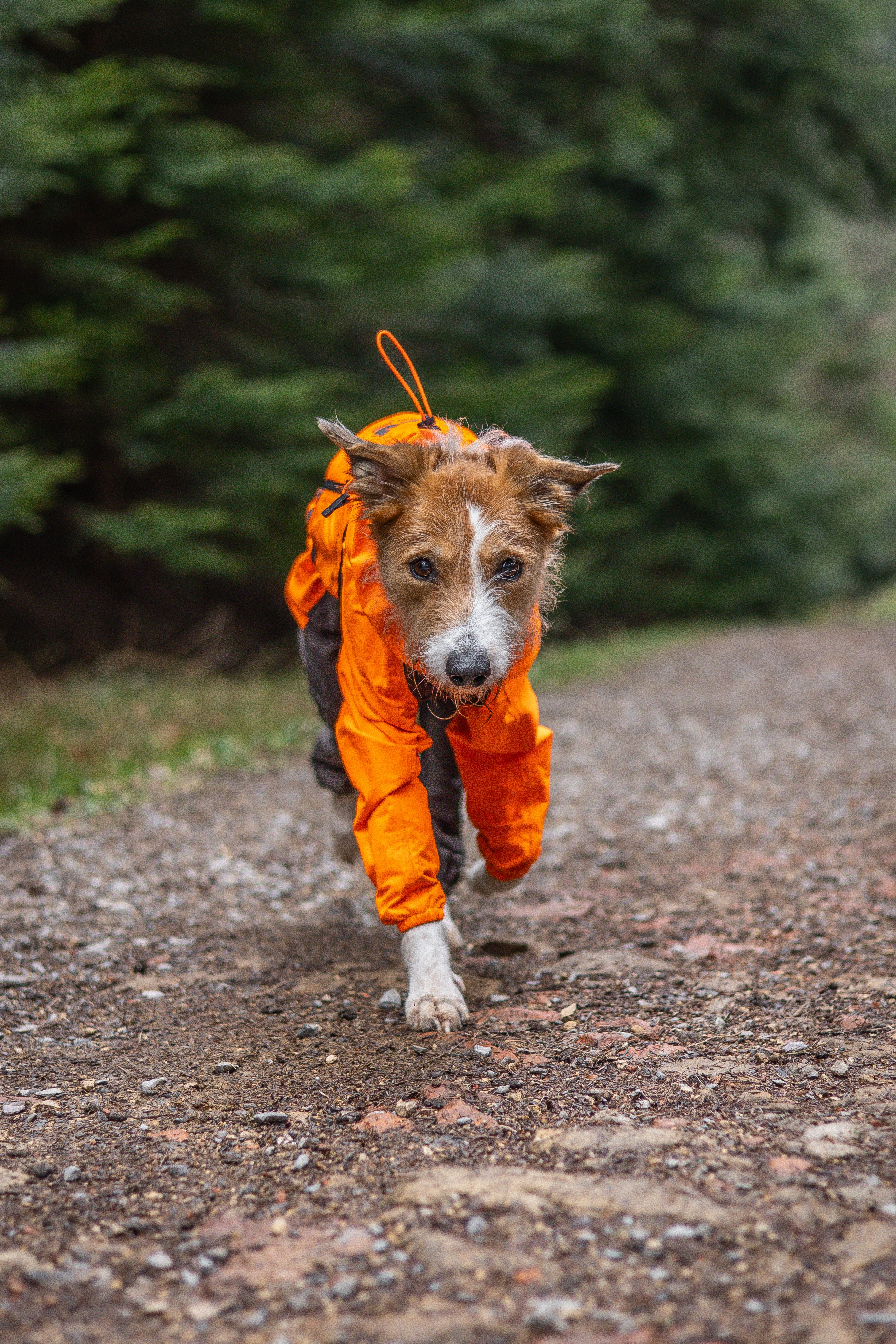 Fjord overall raincoat - Heldekkende regndekken
