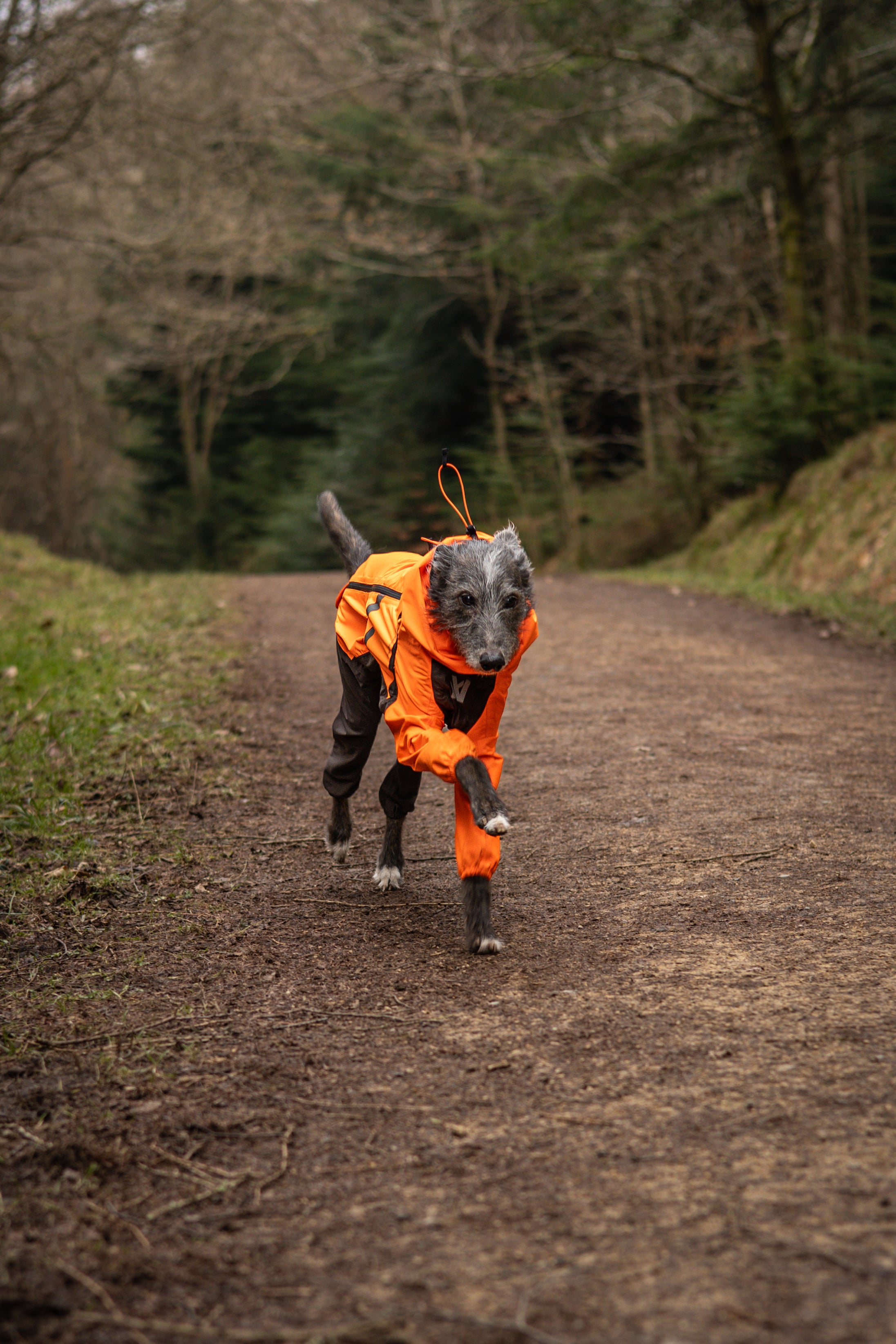 Fjord overall raincoat - Heldekkende regndekken