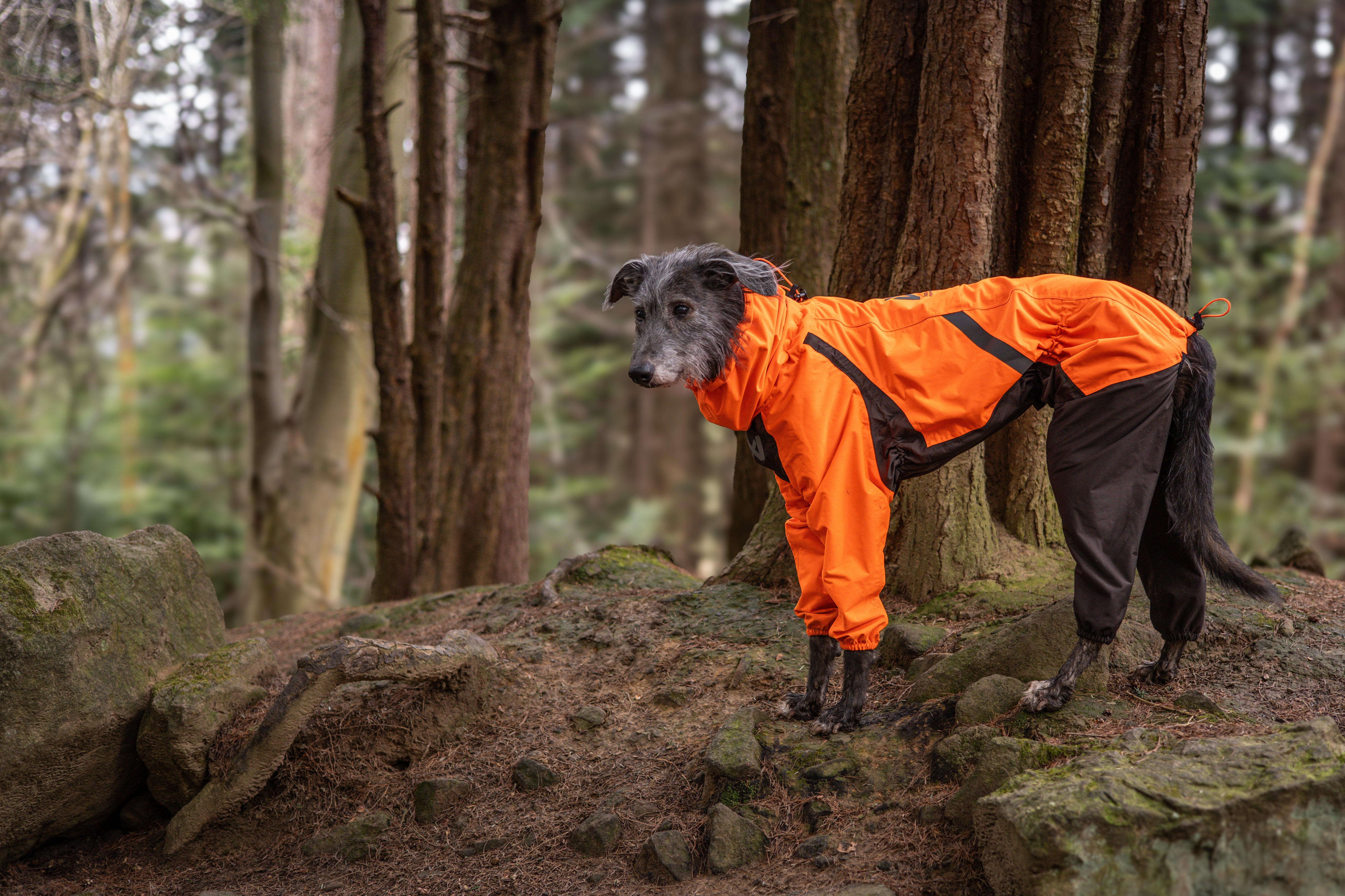Fjord overall raincoat - Heldekkende regndekken