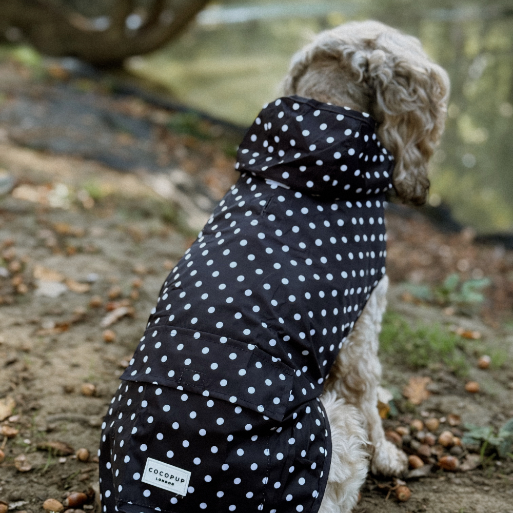 Black Polka Dot - Regnjakke til hund