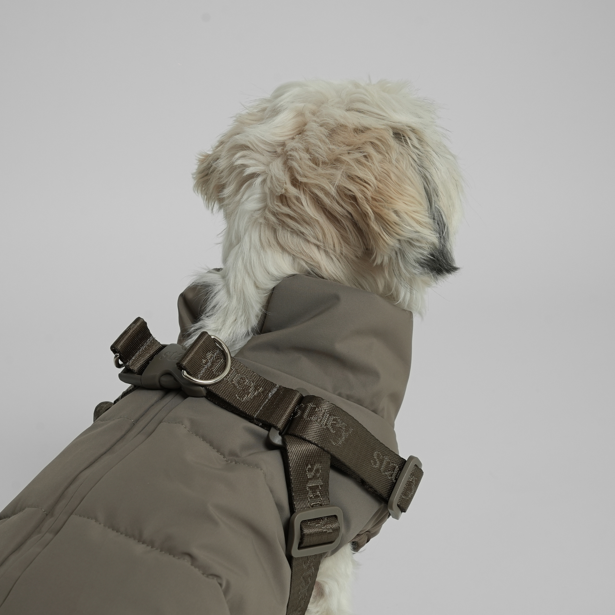 Vera - Hundejakke med integrert sele | Sage