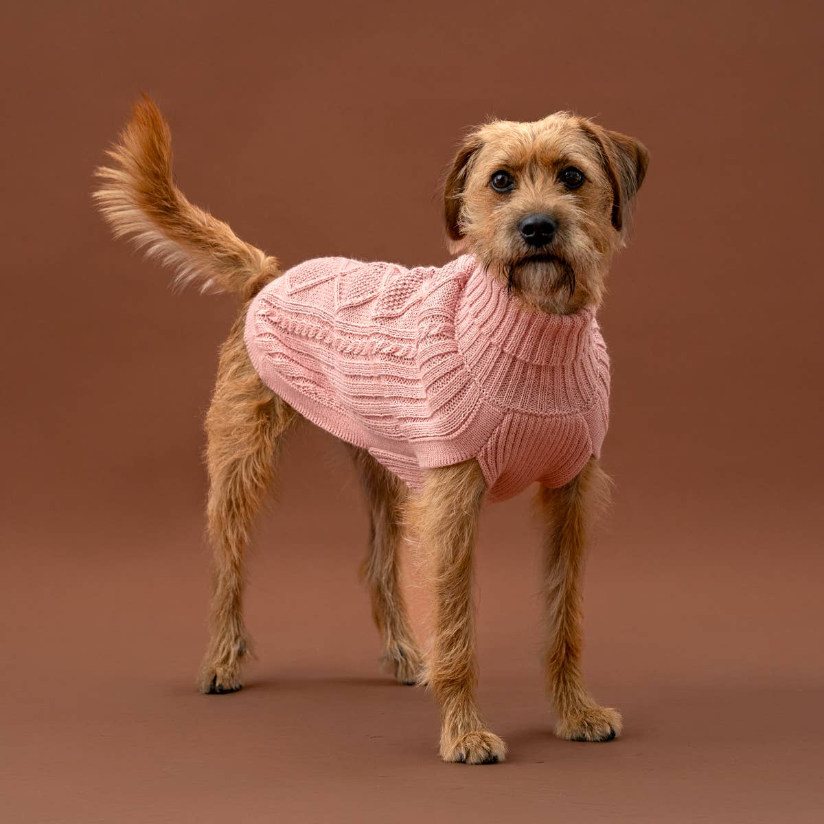 Blush Pink Aran - Alpakka ullgenser til hund