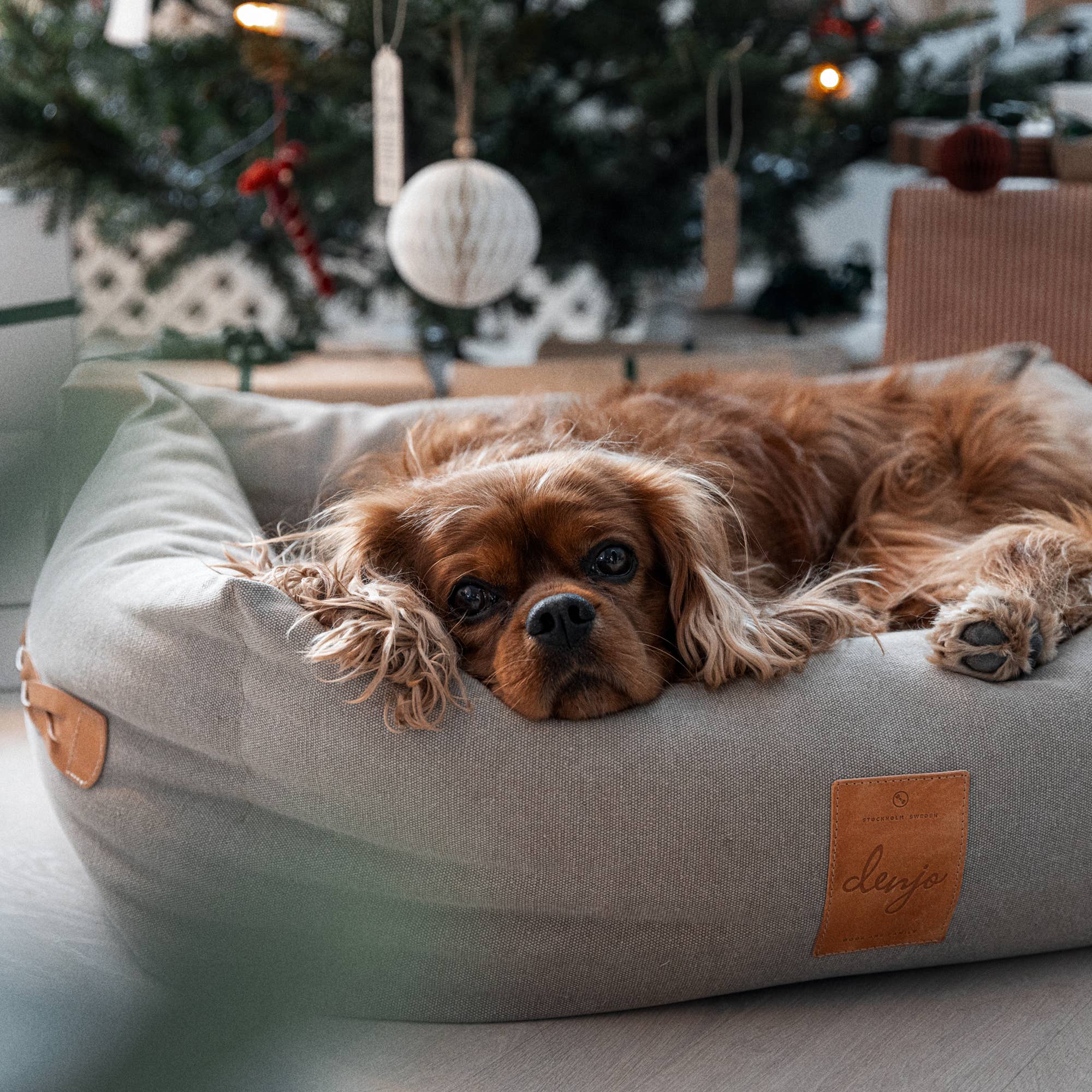 Classic Nest Sand Beige - Klassisk hundeseng m/lærdetaljer