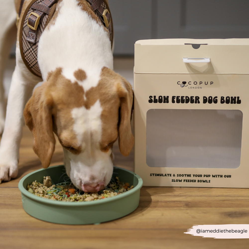 Sage Flowers - Silikon slow feed matskål