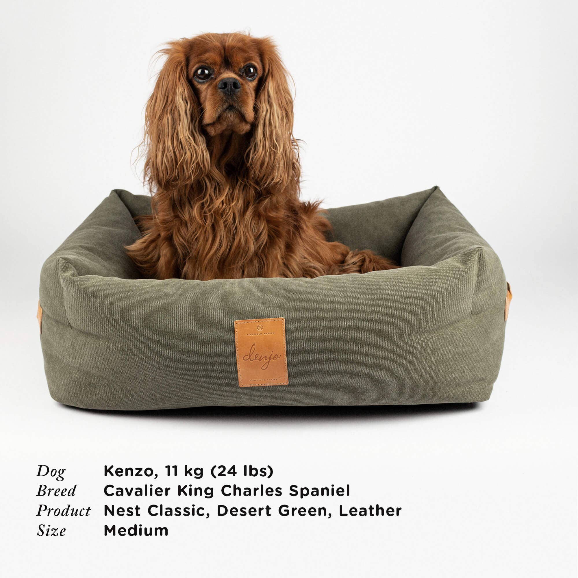 Classic Nest Desert Green - Klassisk hundeseng m/lærdetaljer
