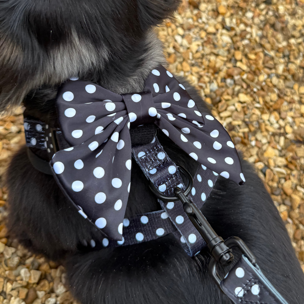 Satin Polka Dot Sailor Bow Tie - Hundesløyfe