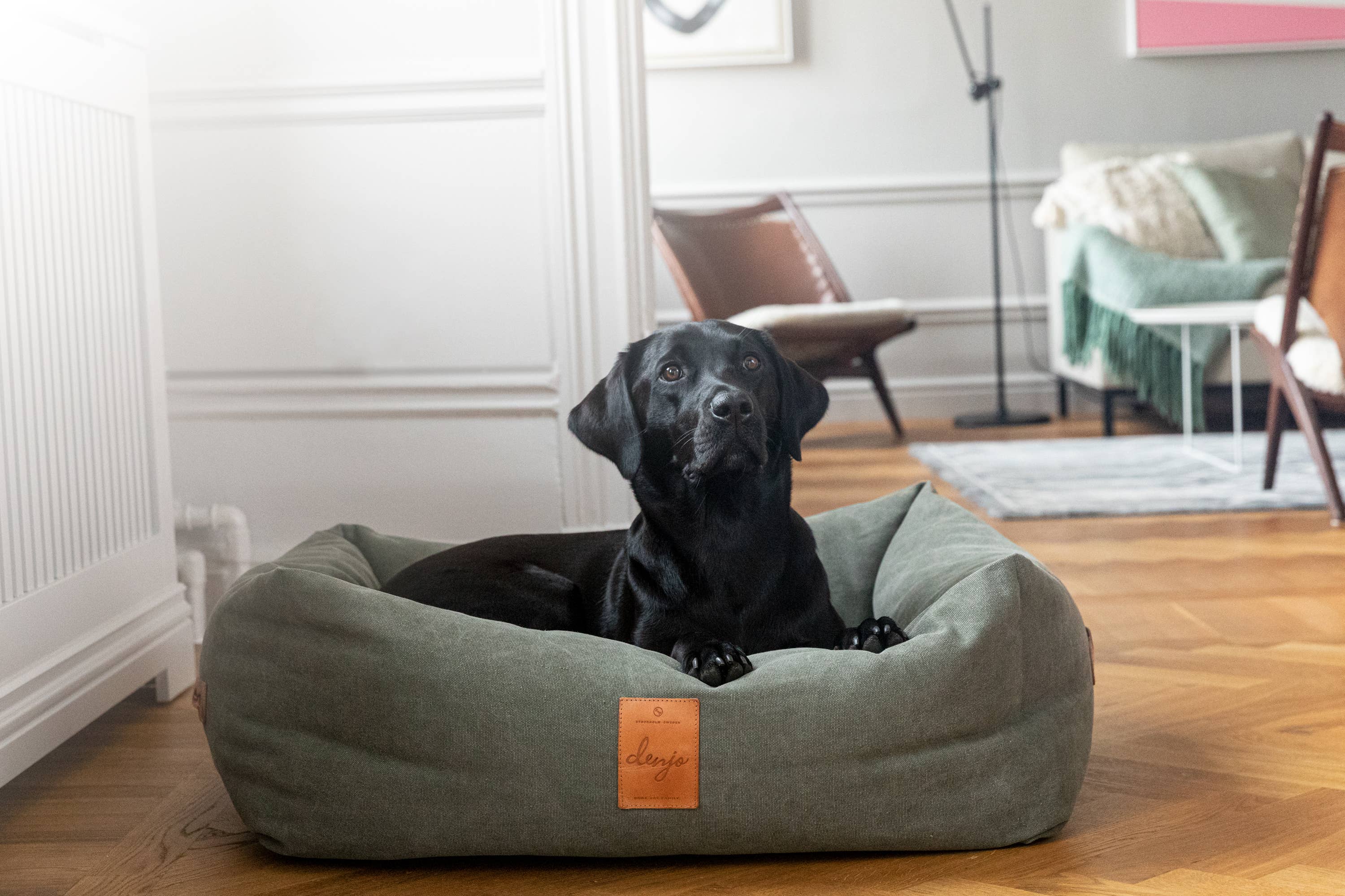 Classic Nest Desert Green - Klassisk hundeseng m/lærdetaljer