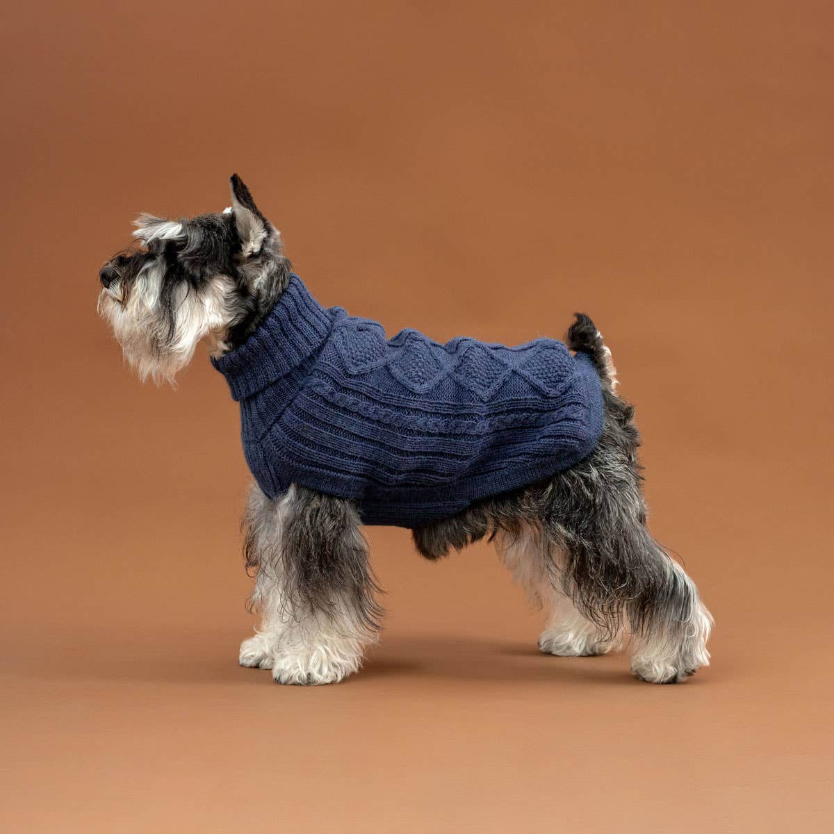 Royal Blue Aran Alpaca Dog Sweater