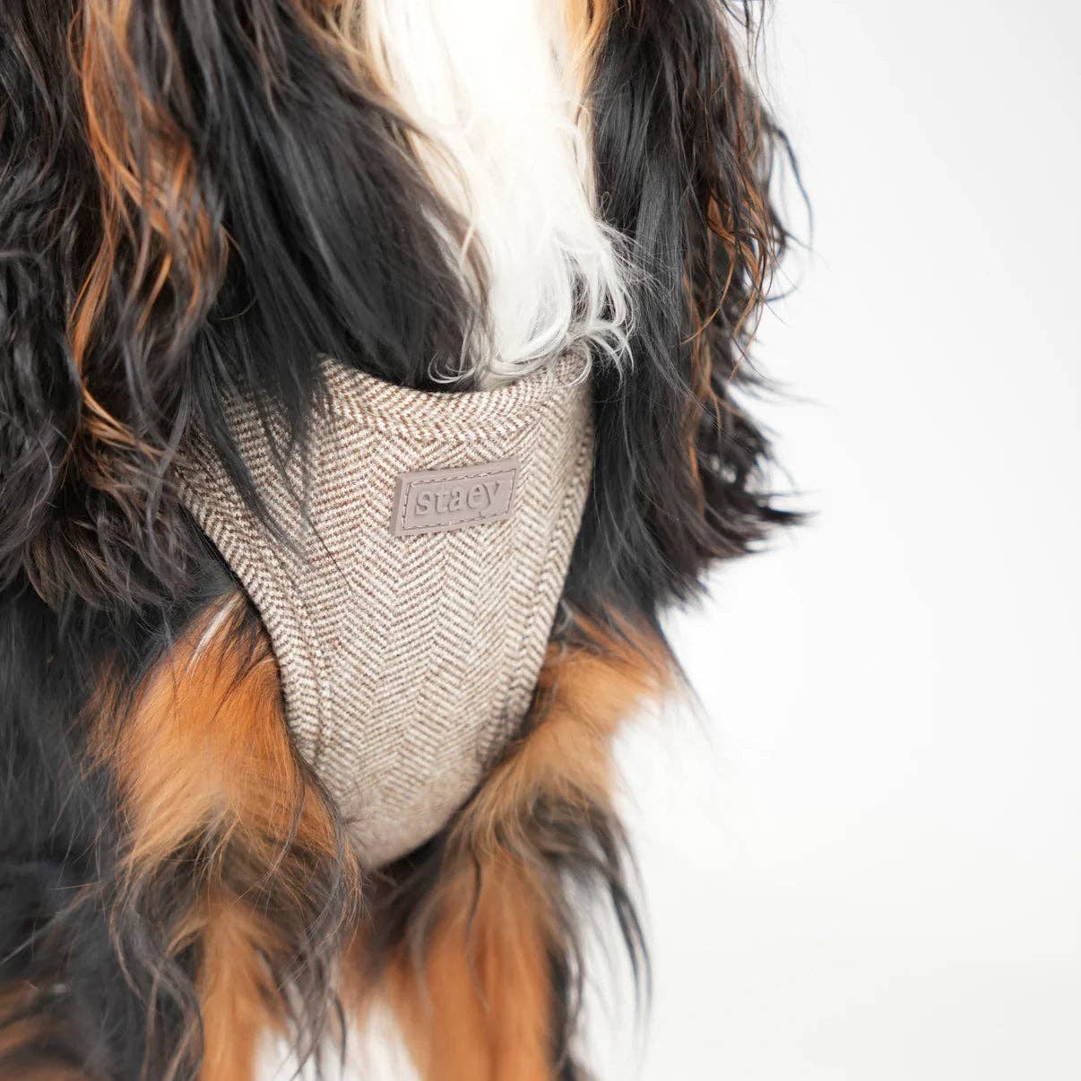 Saga - Step-in Hundesele | Mocca