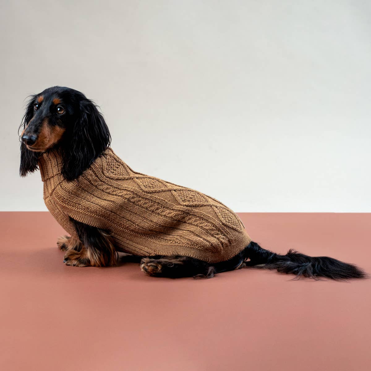 Camel Aran – Hundegenser med alpakka ull