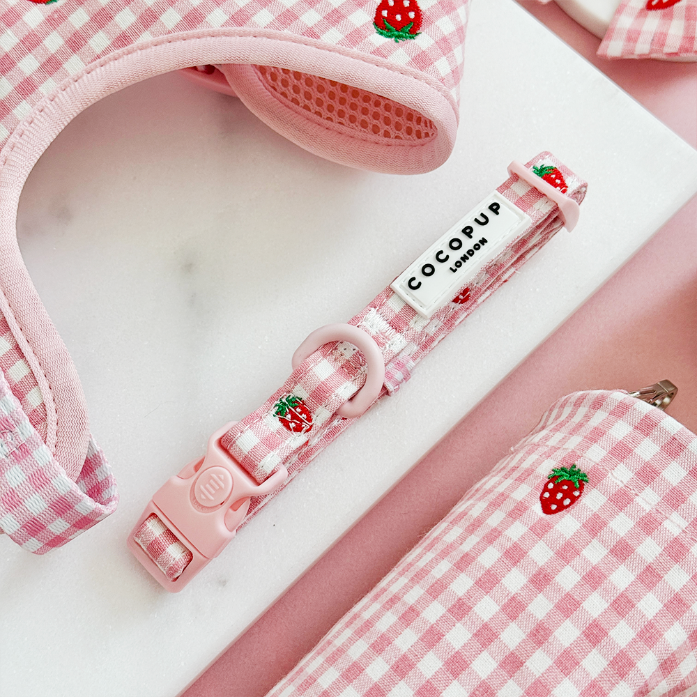 Strawberry Picnic - Hundehalsbånd