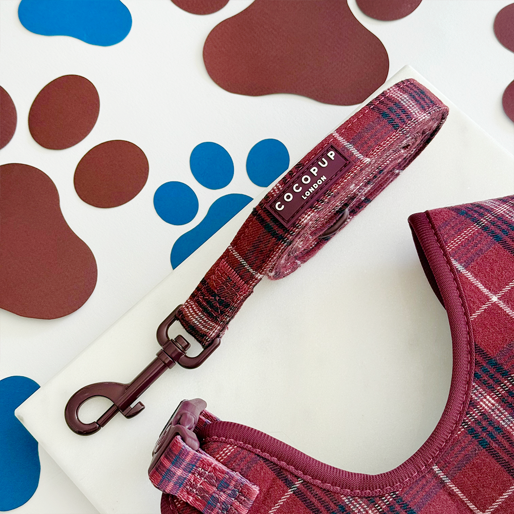 Mulberry Plaid – Hundebånd